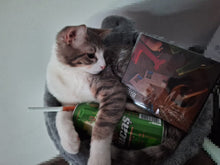 Load image into Gallery viewer, Album BAZOOKA "Doi Penali"