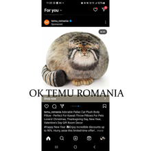 Load image into Gallery viewer, Bluza BAZOOKA "Am Onoarea Să Fiu Spart"